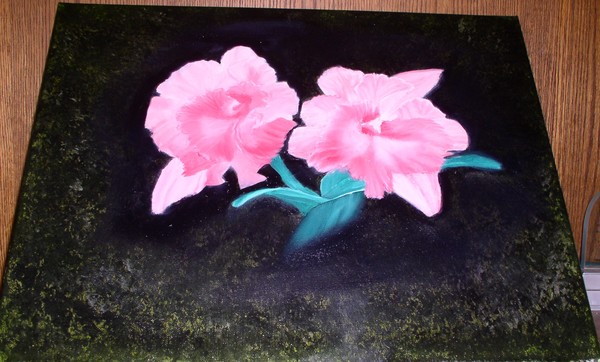 Pink Orchids