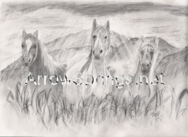 Wild Trio
