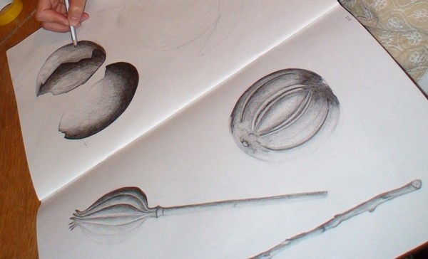 In Progress