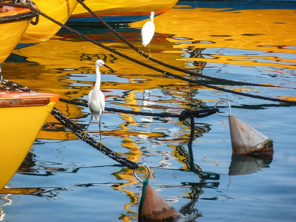 REFLECTION