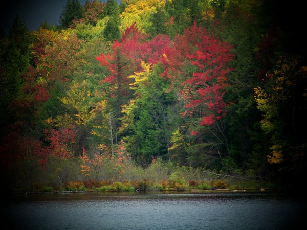 Autum Splendor