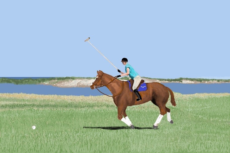 Polo Practice