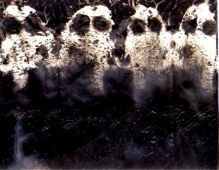 Four Ghost
