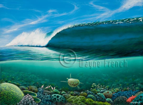 Two Worlds of Ocean