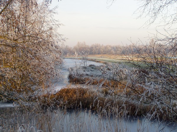 anneke_055
