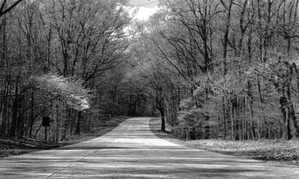 Colonial Parkway