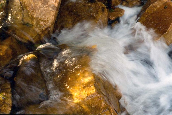 oak_creek_12