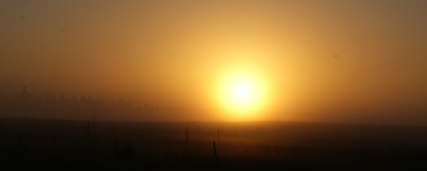 sunrise