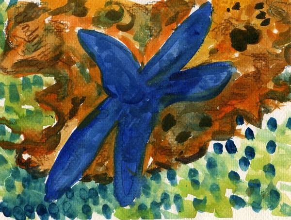 BLUE STARFISH