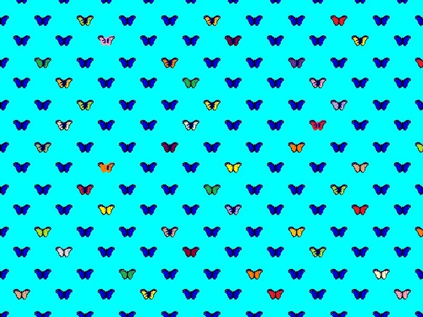 bevy of butterflies