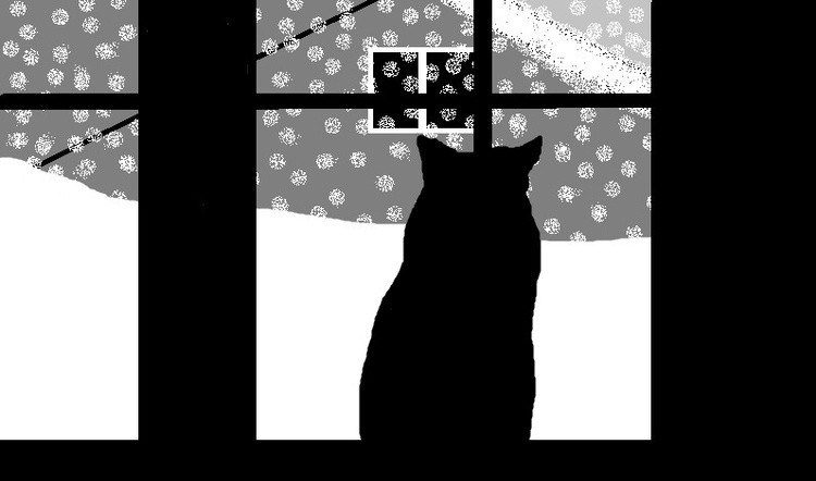 Cat At Winter Window