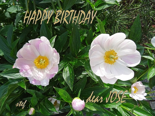 HAPPY BIRTHDAY JOSE