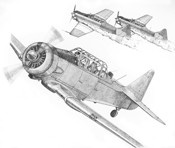 Air show