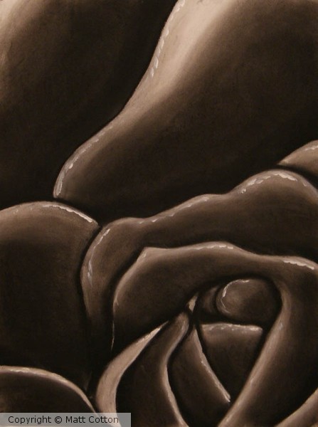 rose