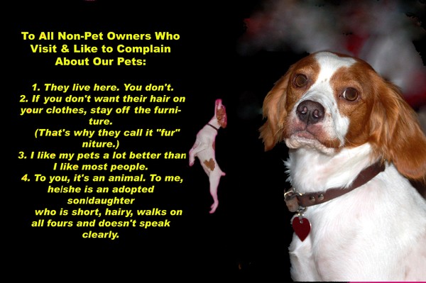 I can use your pets picture to produce 