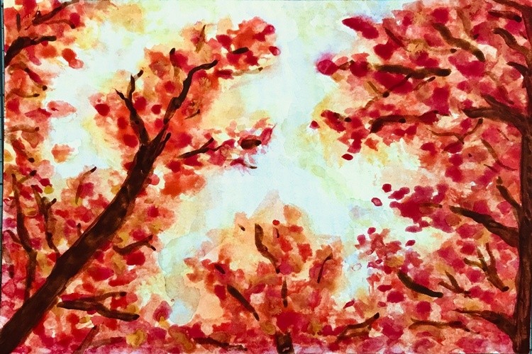 Fall sky