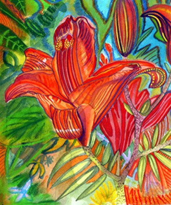 Lilie 3 scan 