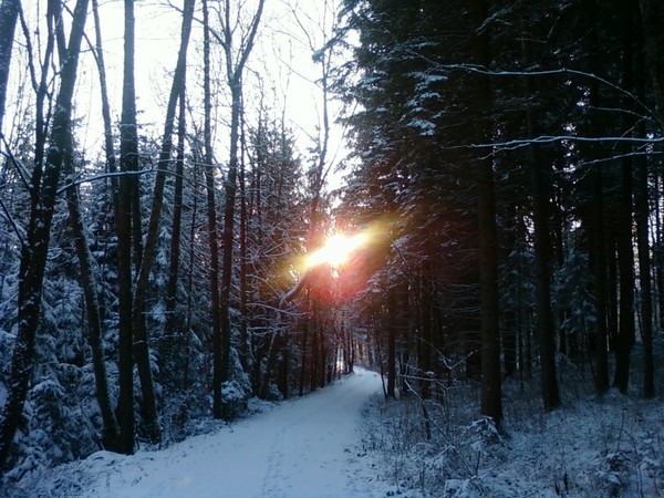 Play with sun