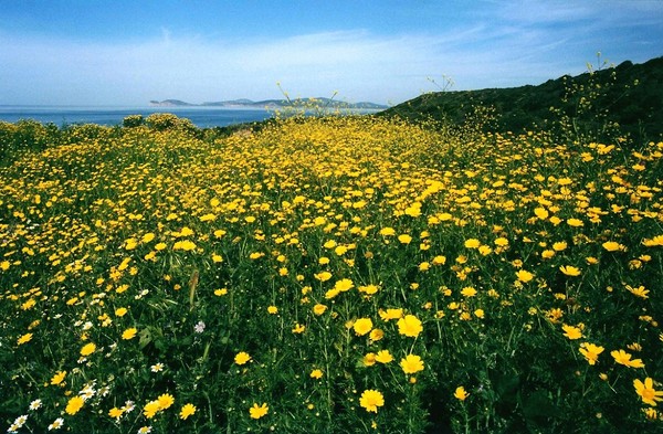 April in Sardinia 2