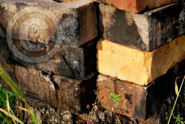 bricks