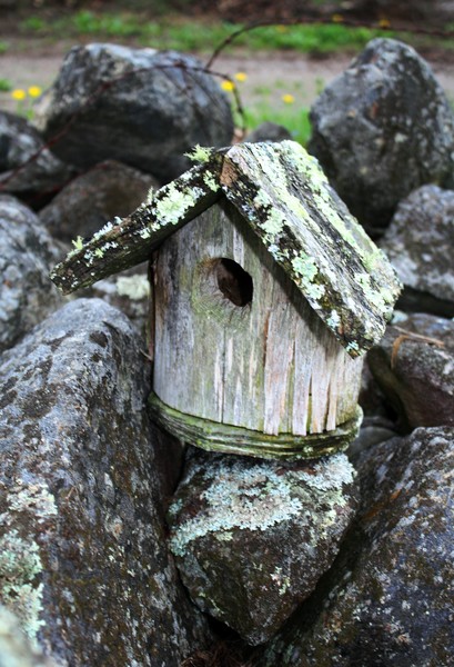 birdhouse of the past