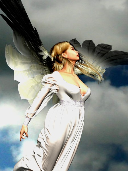 Look to the Heavens