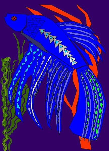 Betta Splendents