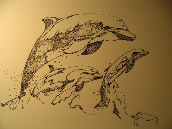 dolphins on the sea