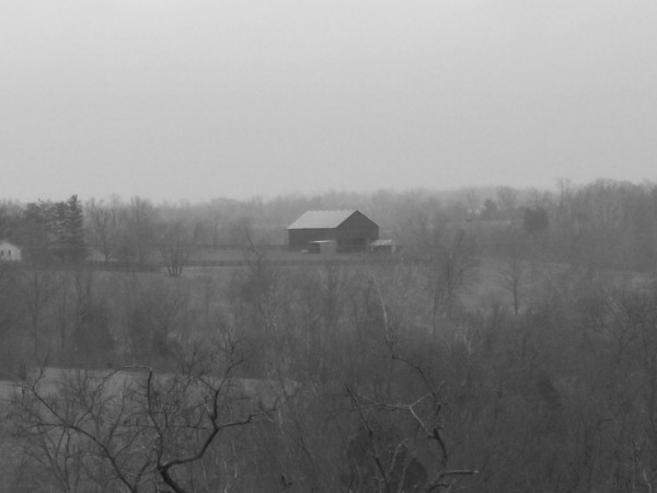 Foggy Morning