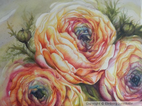 Flower power ! Rannunculus