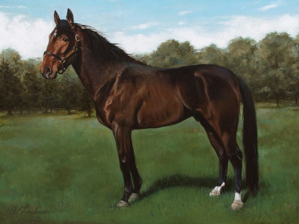 H_D_HANOVER