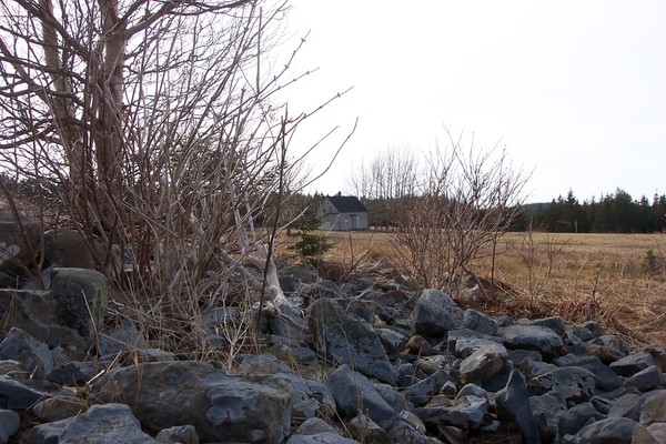 old farm
