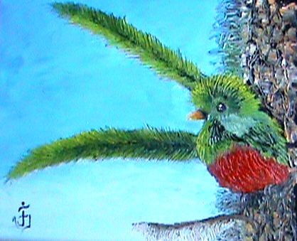 El Quetzal.