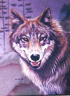 Timber Wolf