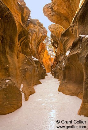 Willis Creek Narrows, Utah