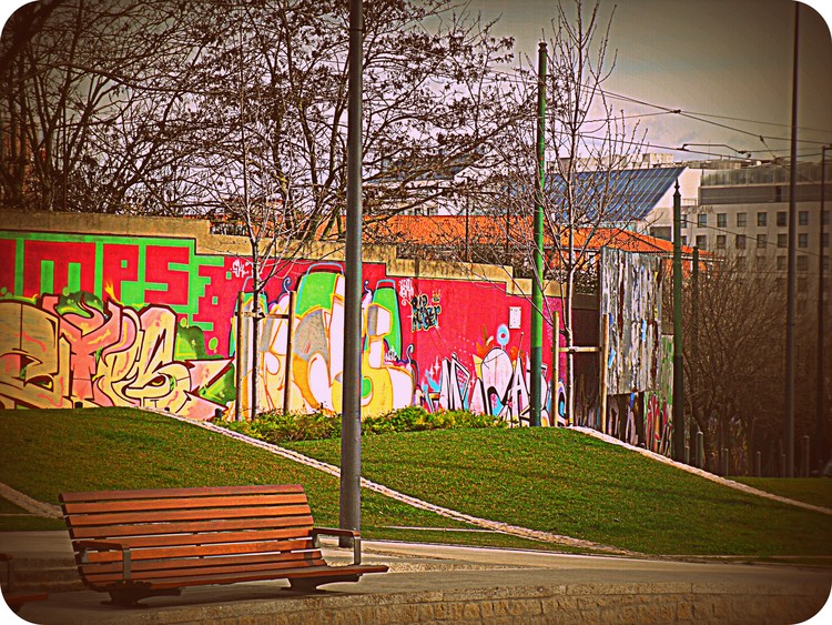 02-SDC13069
