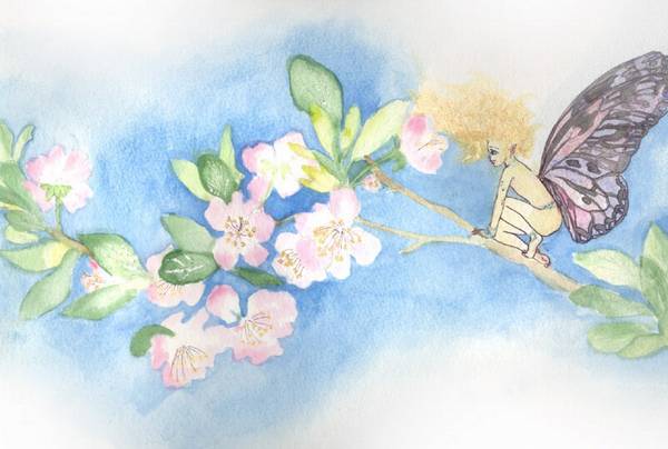 Cherry blossom