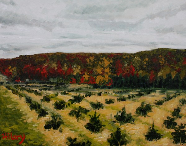 Change of season on the tree farm