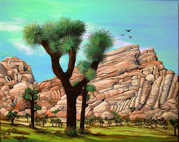 Joshua Tree National Park CA -Award Winner 2014