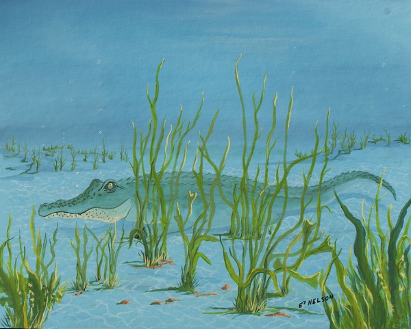 ALLIGATOR