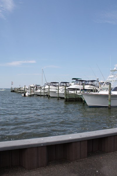 Marina of Boats