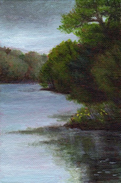 Grey Day at Stiles Pond