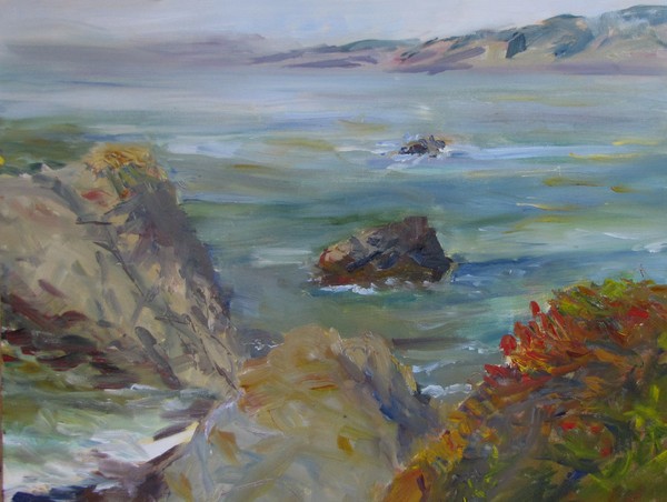 Sonoma Coast closeup