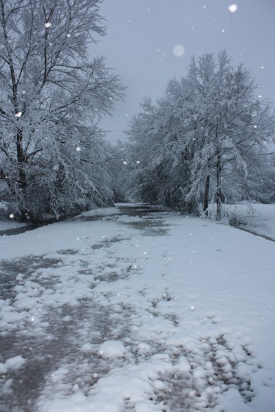 Down the Lane