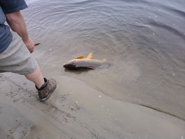 fishing