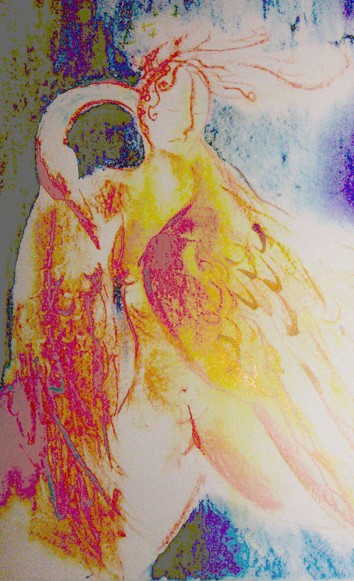 leda