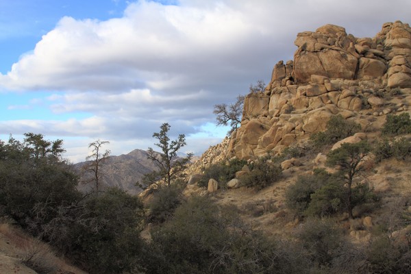 Yucca Valley Image 4