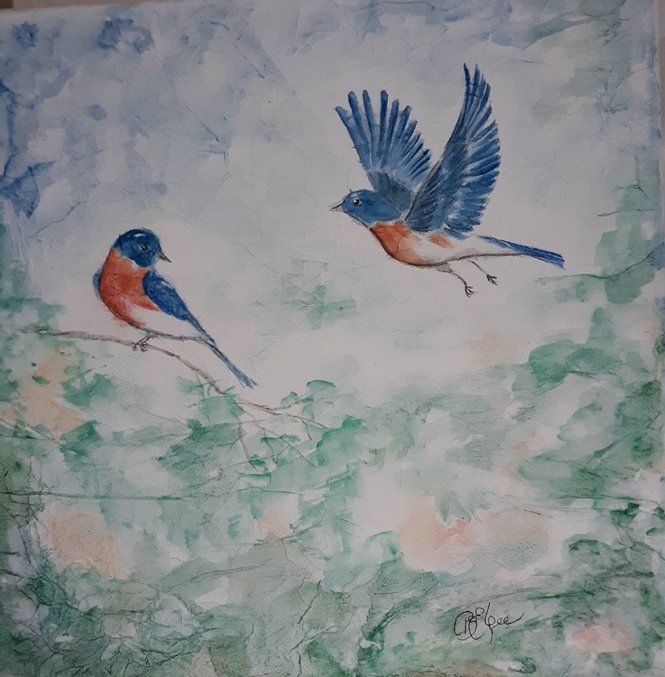Eastern Bluebirds