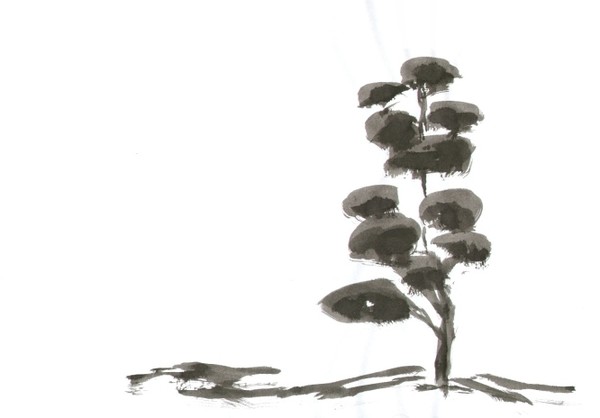 Japanese Gardens 15