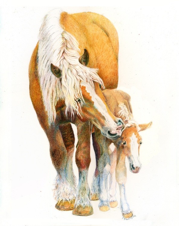 Powerful Beginnings
